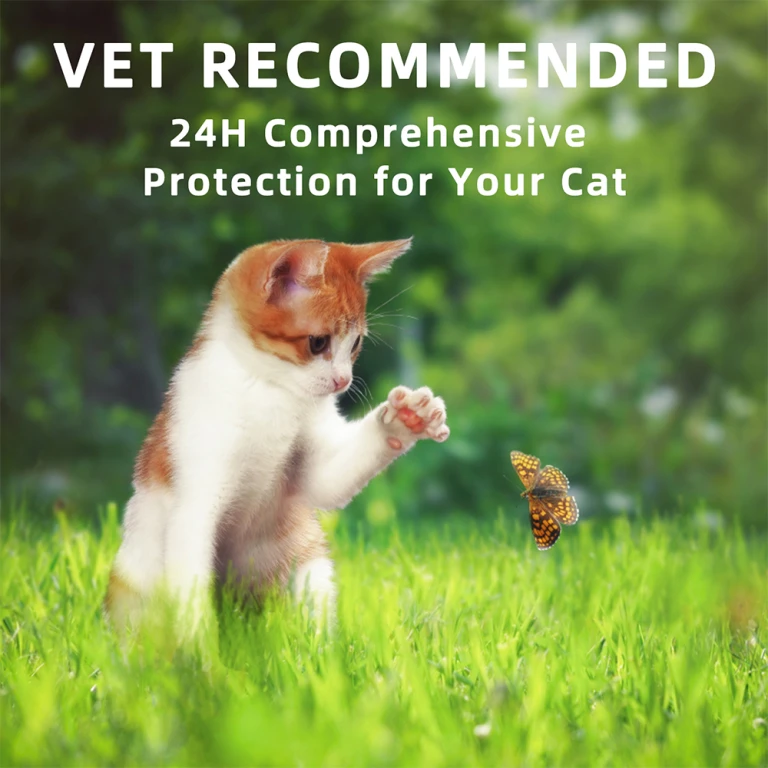 Advanllent Flea Topical for Cats and Kittens, Flea & Tick Treatment - Topical Flea Embedding Treatment For Kittens With Flea Fever