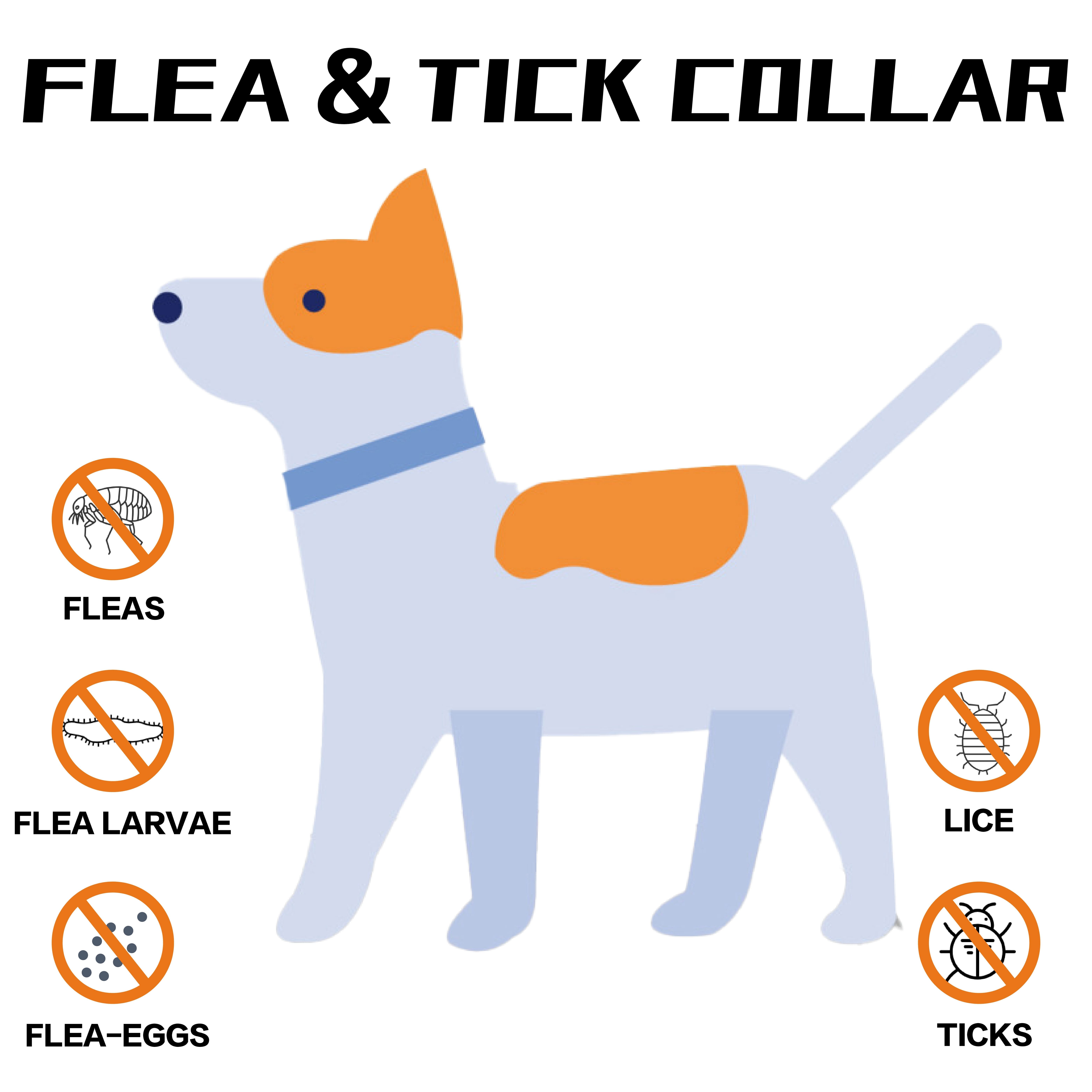 FLEA AND TICK COLLAR